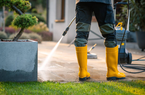 Best Pressure Washing Company Near Me  in Lawrenceburg, IN